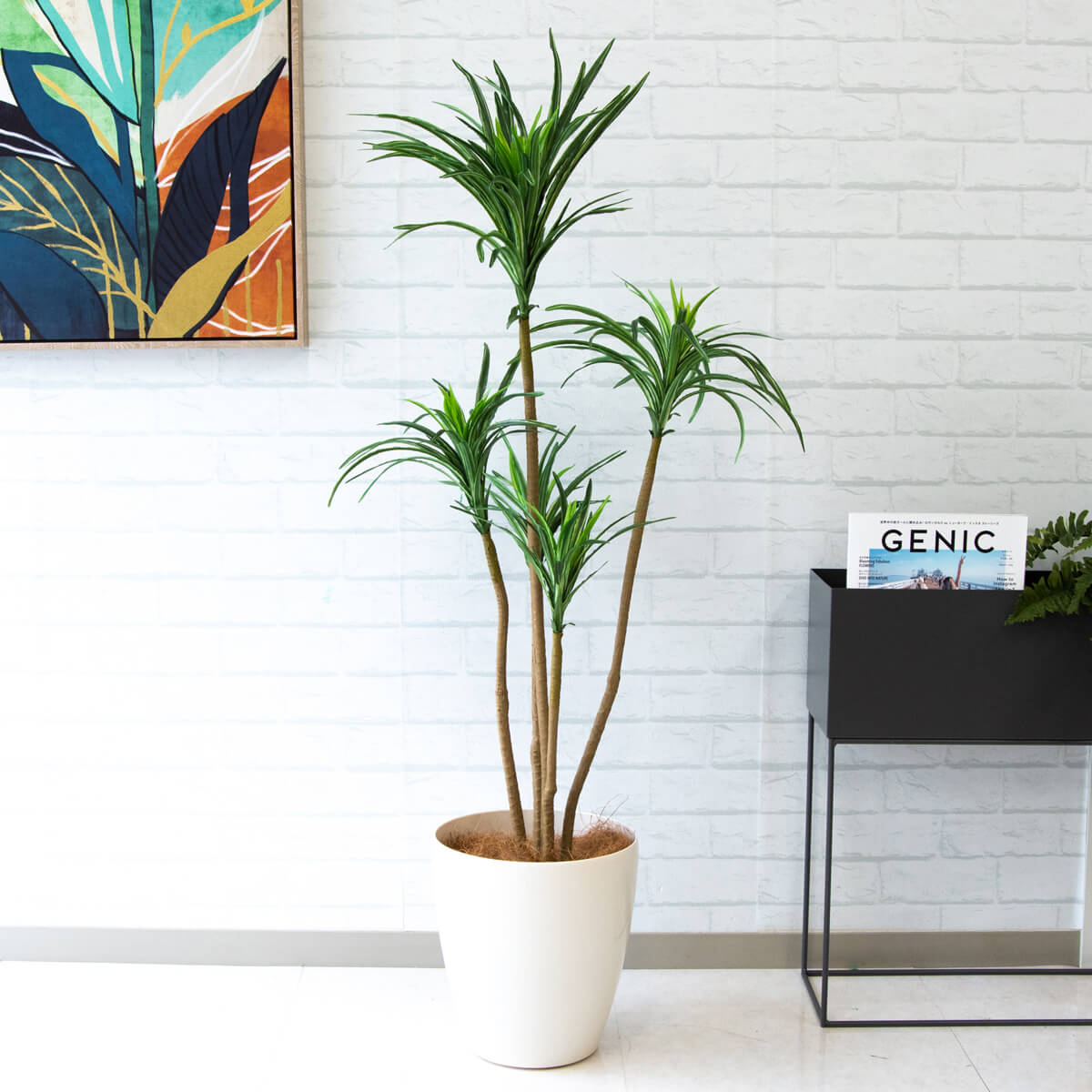 【PG013A265WH マッサン(幸福の木) H125cm【GLA1200】/陶器鉢】人工観葉植物 観葉植物 フェイクグリーン