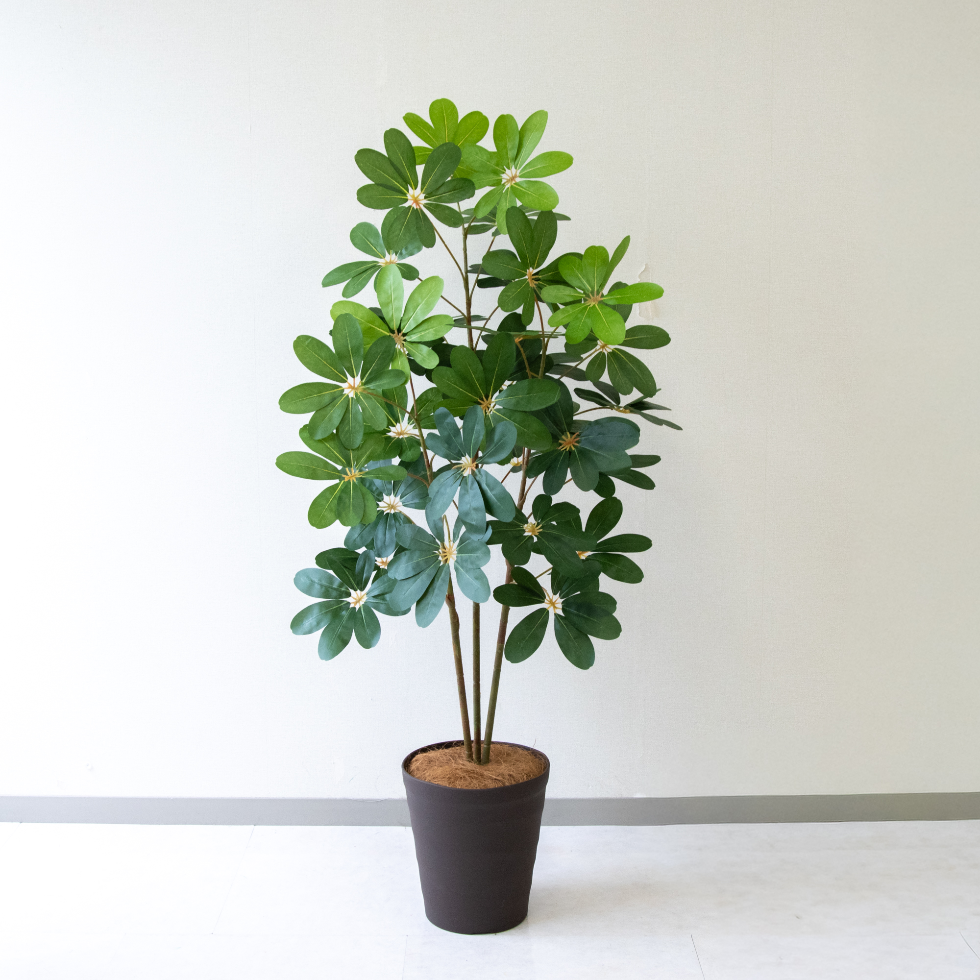 自社製品（完成品）